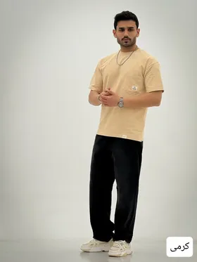 تیشرت بیسیک کیارش_کد4088