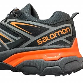 کفش سالامون