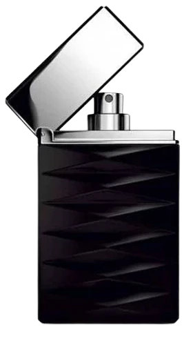 عطر جورجیو آرمانی اتیتود-Giorgio Armani Attitude