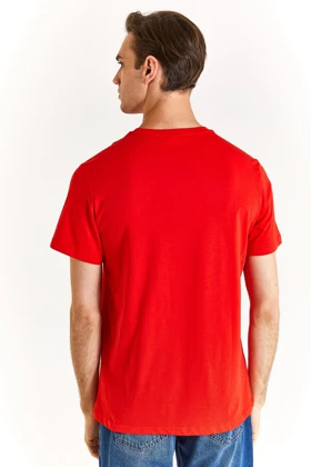 تیشرت مردانه u.s.-polo-assn.