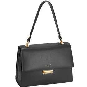 کیف دستی زنانه دیوید جونز مدل David Jones CM7513