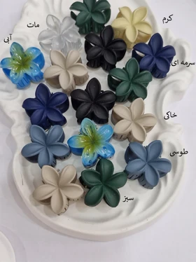 کلیپس پلومریای مینی
