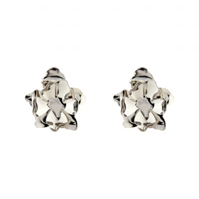 گوشواره زنانه میخی مدل گل برجسته2