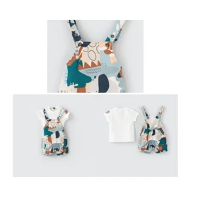 بیلر مدل کیا ایندیگو