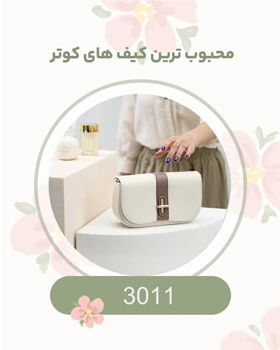 کیف دستی