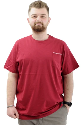 تیشرت سایز بزرگ مردانه modexl