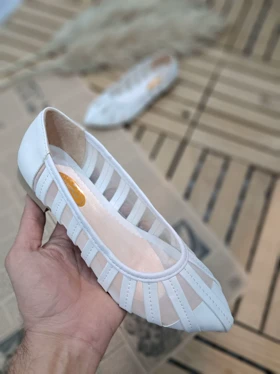 کالج توری خرچنگی کد003