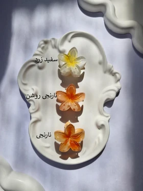 کلیپس مینی پلومریا