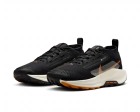 کفش دویدن Nike W PEGASUS TRAIL 5 GTX PC_FQ0912-005