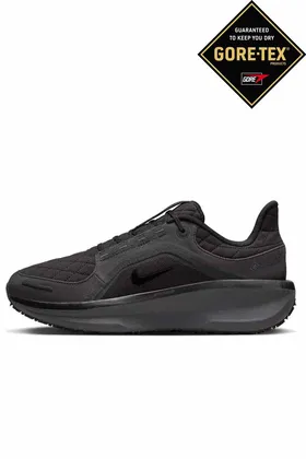 کفش دویدن مردانه Air Winflo 11 GORE-TEX CW3411-006V3
