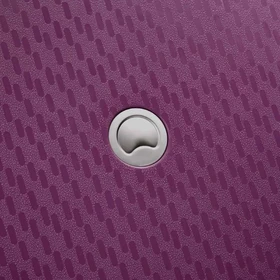 چمدان دلسی مدل نیو تاسمان کد 1310080112