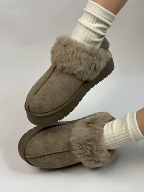 آگ پشت کش خزدار 2384