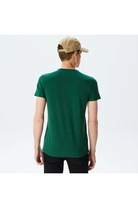 تیشرت مردانه lacoste