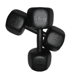 دمبل رادیس فیت مدل RPHF-5000 وزن 5 کیلوگرم بسته دو عددی
