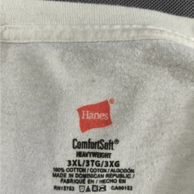 SIZE XXL-3XL تیشرت لش اورجینال برند HANES امریکا مدل SCARLET SAILS