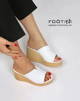 کفش لژدار