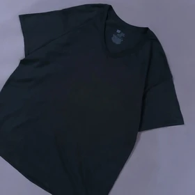 تیشرت اورجینال مشکی ساده برند HANES امریکا