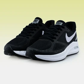 نایک ایر زوم گاید 10 (CJ0291-003)