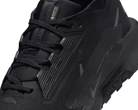 کفش های دویدن در تمام زمین Nike Pegasus Trail 5 Gore-Tex PC_FQ0908-002