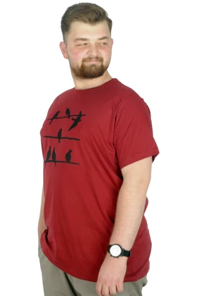 تیشرت سایز بزرگ مردانه modexl