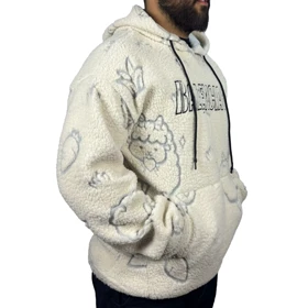 هودی تدی طرح ببعی