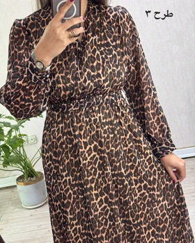 پیراهن حریر تمنا 1