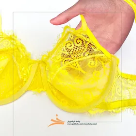 ست دانتل زرد رنگ فنردار برند نوشه پوش