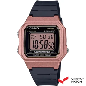ساعت مچی کاسیو CASIO مدلW-217HM-5A