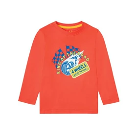 تیشرت پسرانه لوپیلو کد Z-TES23 مجموعه 2 عددی