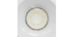 لنز رنگی سالانه پلی ویو Polyvue