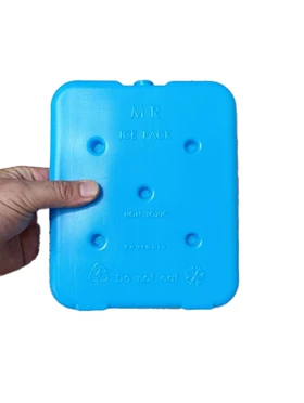 یخ خشک 600 گرمی mr icepack