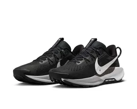 کفش دویدن Nike Pegasus Trail 5 PC_DV3865-001