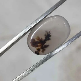 عقیق شجر قائن اصل کد 25