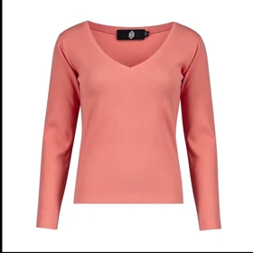 بلوز آستین بلند زنانه پپا مدل Vneck رنگ گلبهی