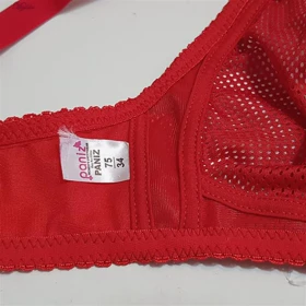 سوتین زنانه پانیذ مدل بدون فنر تابستانی رنگ قرمز کد 66307