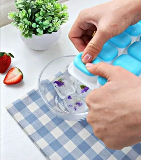 قالب یخ و دسر دربدار سیلیکونی GUPP