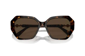 عینک آفتابی سواروسکی Swarovski SK 6017S 1002M4