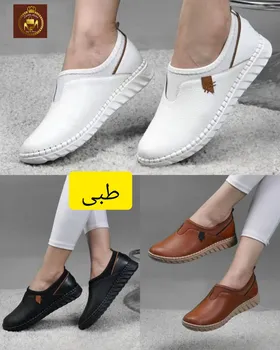 کالج طبی زنانه مدل سپیده