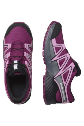 کفش های طبیعت گردی بچگانه salomon