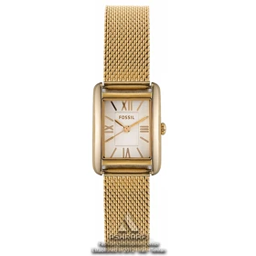 ساعت فسیل بند حصیری Fossil ES3330