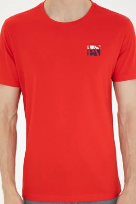 تیشرت مردانه اورجینال assn u.s.-polo-assn.