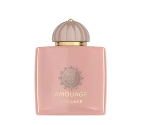 عطر ادکلن آمواج گایدنس Amouage Guidance