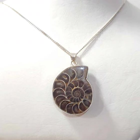 گردنبند نقره با فسیل آمونیت طبیعی اصل کد 63 (بدون زنجیر)