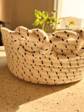 سبد نظم دهنده