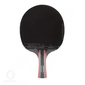 راکت پینگ پنگ لوکی مدل 3 ستاره R3