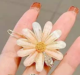 گیره مجلسی
