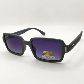 ریبن P2201 GRAY