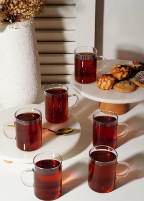 لیوان دسته دار دلی 270 میل