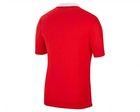 پیراهن فوتبال t -shirt Nike M NK DF PARK20 POLO SS PC_CW6933-657