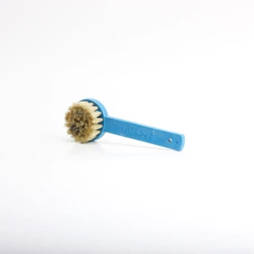 فرچه آذری (آبی)